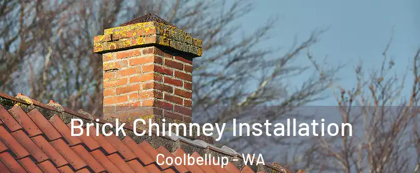 Brick Chimney Installation Coolbellup - WA