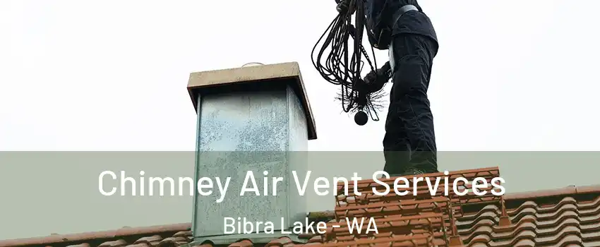 Chimney Air Vent Services Bibra Lake - WA