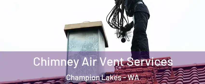Chimney Air Vent Services Champion Lakes - WA