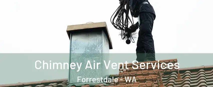 Chimney Air Vent Services Forrestdale - WA