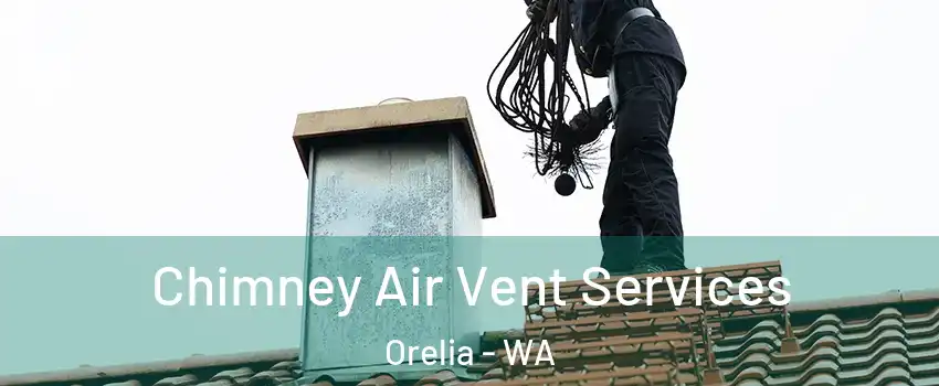 Chimney Air Vent Services Orelia - WA