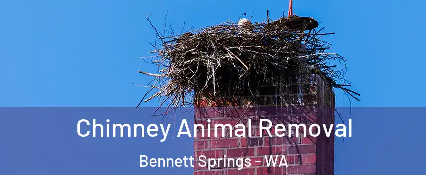 Chimney Animal Removal Bennett Springs - WA