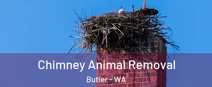 Chimney Animal Removal Butler - WA
