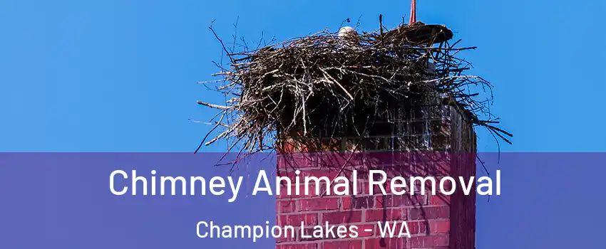 Chimney Animal Removal Champion Lakes - WA