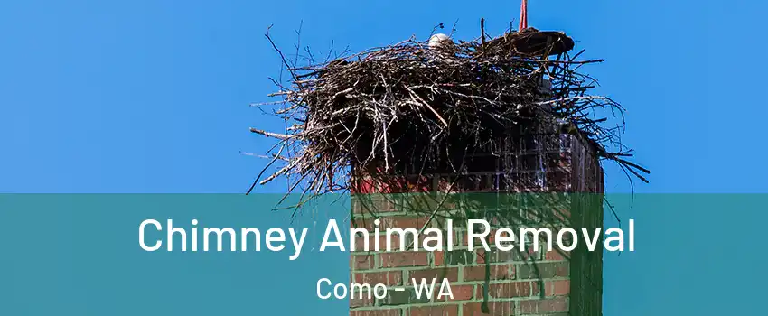 Chimney Animal Removal Como - WA