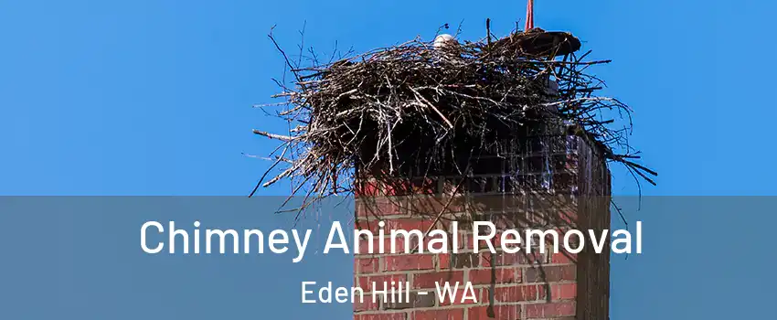 Chimney Animal Removal Eden Hill - WA