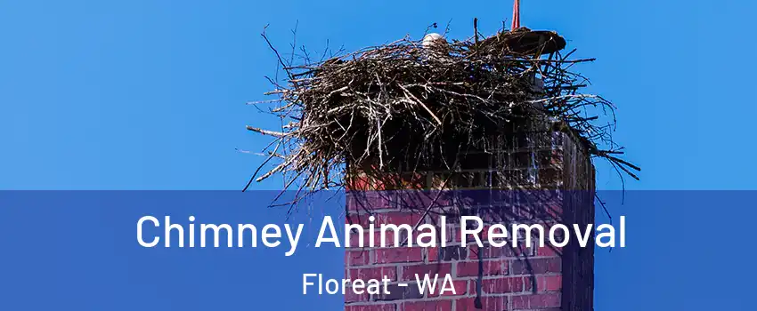 Chimney Animal Removal Floreat - WA