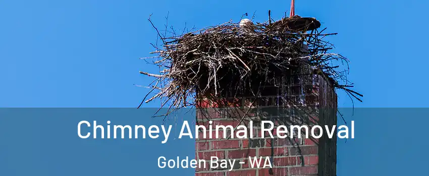 Chimney Animal Removal Golden Bay - WA