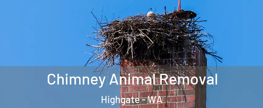 Chimney Animal Removal Highgate - WA