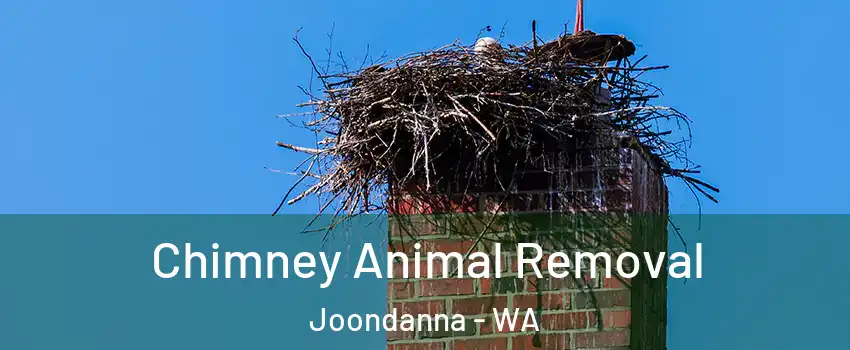 Chimney Animal Removal Joondanna - WA