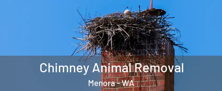Chimney Animal Removal Menora - WA