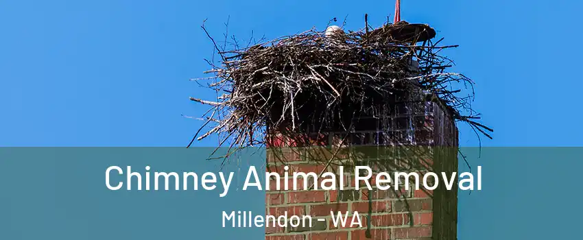 Chimney Animal Removal Millendon - WA