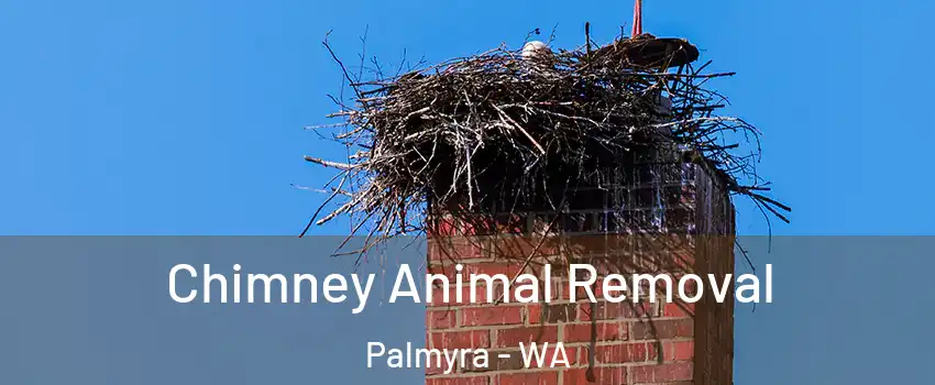 Chimney Animal Removal Palmyra - WA