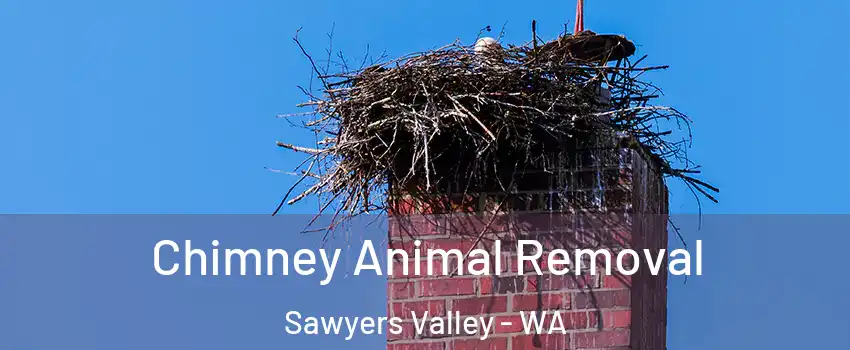 Chimney Animal Removal Sawyers Valley - WA