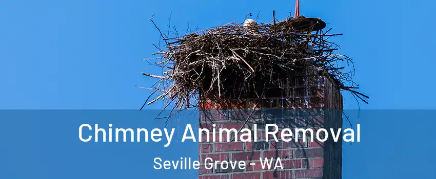 Chimney Animal Removal Seville Grove - WA
