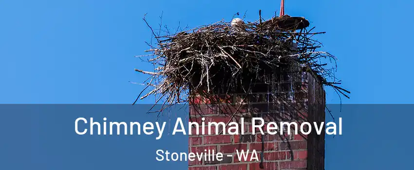 Chimney Animal Removal Stoneville - WA