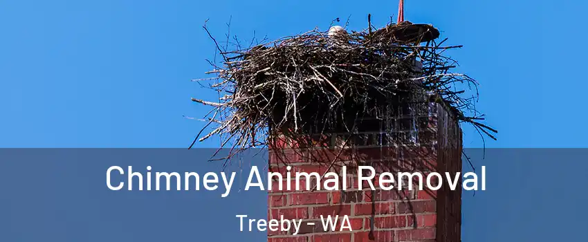 Chimney Animal Removal Treeby - WA