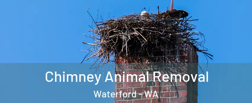 Chimney Animal Removal Waterford - WA