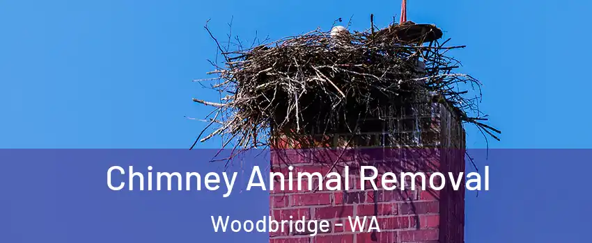 Chimney Animal Removal Woodbridge - WA