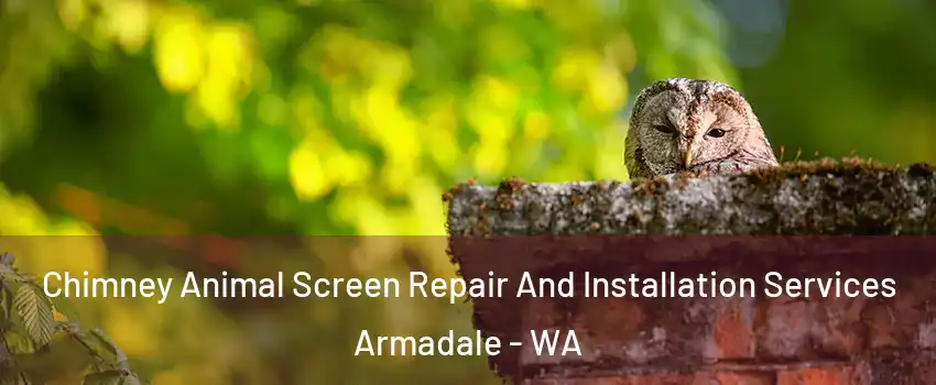 Chimney Animal Screen Repair And Installation Services Armadale - WA