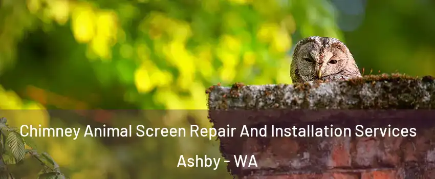 Chimney Animal Screen Repair And Installation Services Ashby - WA