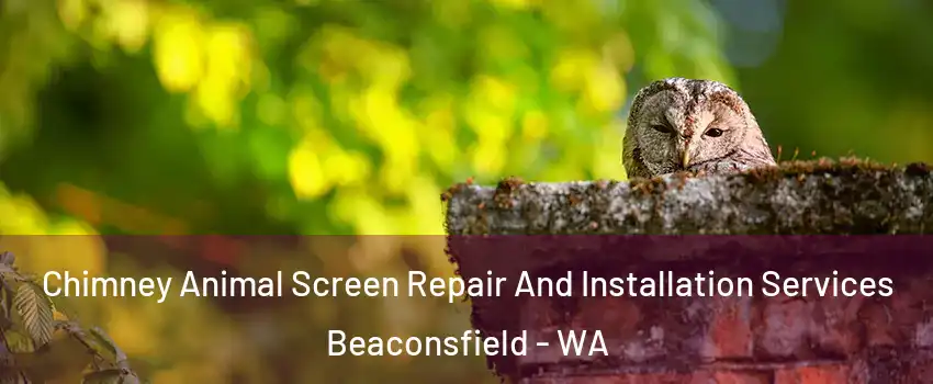  Chimney Animal Screen Repair And Installation Services Beaconsfield - WA