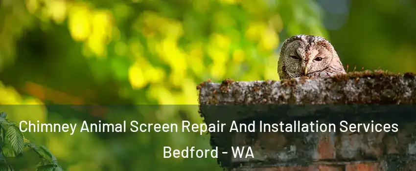  Chimney Animal Screen Repair And Installation Services Bedford - WA