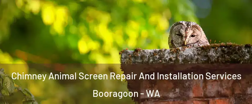 Chimney Animal Screen Repair And Installation Services Booragoon - WA