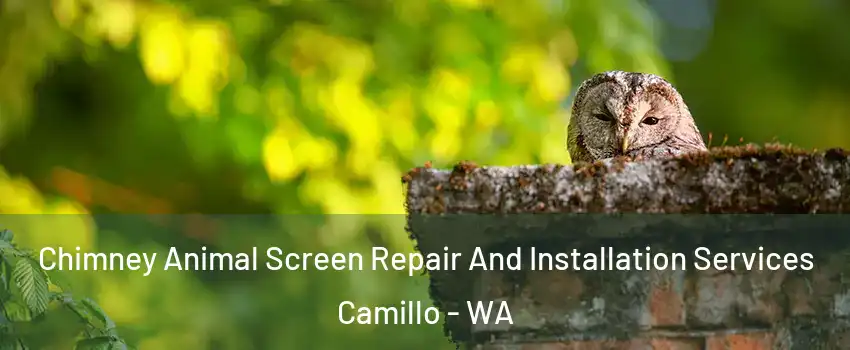 Chimney Animal Screen Repair And Installation Services Camillo - WA