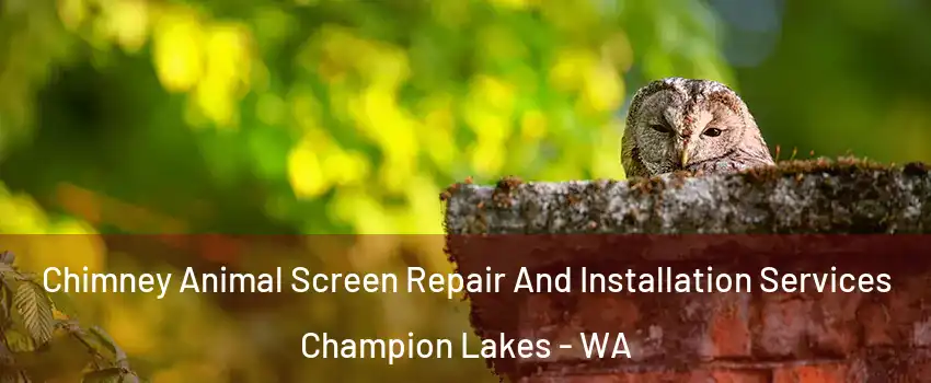 Chimney Animal Screen Repair And Installation Services Champion Lakes - WA