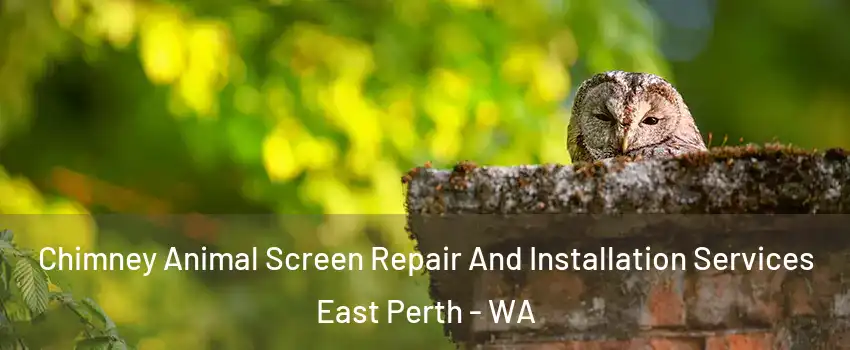 Chimney Animal Screen Repair And Installation Services East Perth - WA