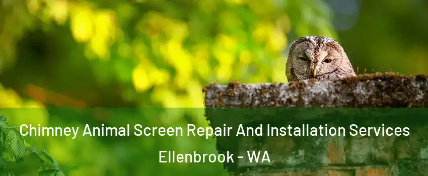 Chimney Animal Screen Repair And Installation Services Ellenbrook - WA