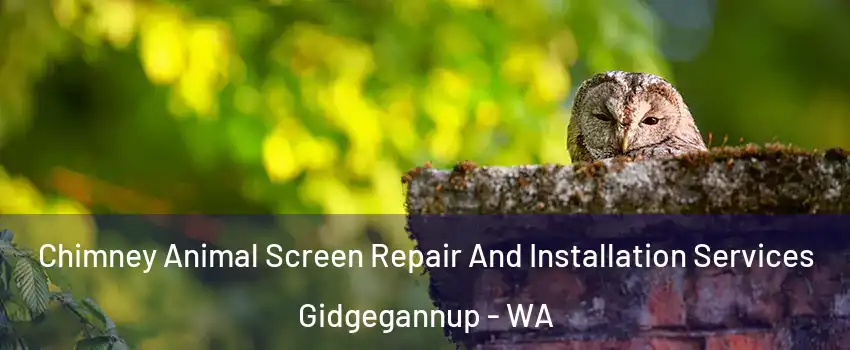 Chimney Animal Screen Repair And Installation Services Gidgegannup - WA