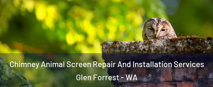 Chimney Animal Screen Repair And Installation Services Glen Forrest - WA
