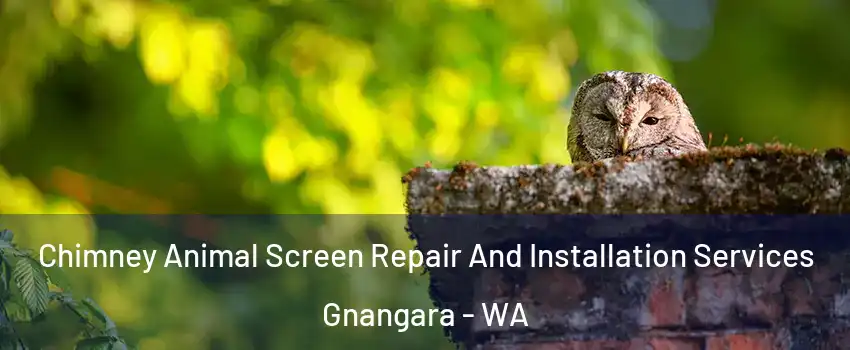 Chimney Animal Screen Repair And Installation Services Gnangara - WA
