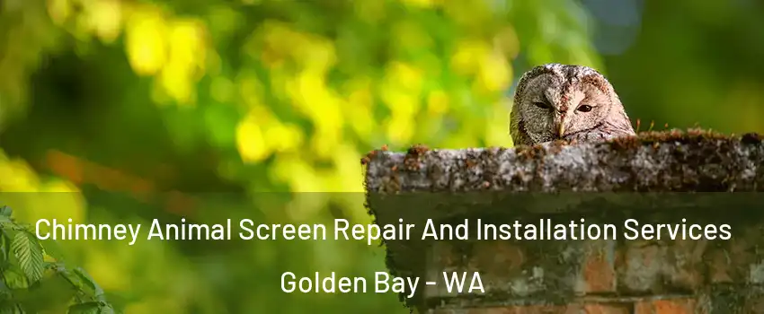 Chimney Animal Screen Repair And Installation Services Golden Bay - WA