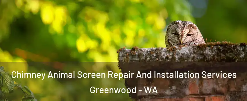 Chimney Animal Screen Repair And Installation Services Greenwood - WA