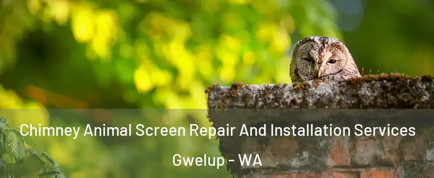 Chimney Animal Screen Repair And Installation Services Gwelup - WA