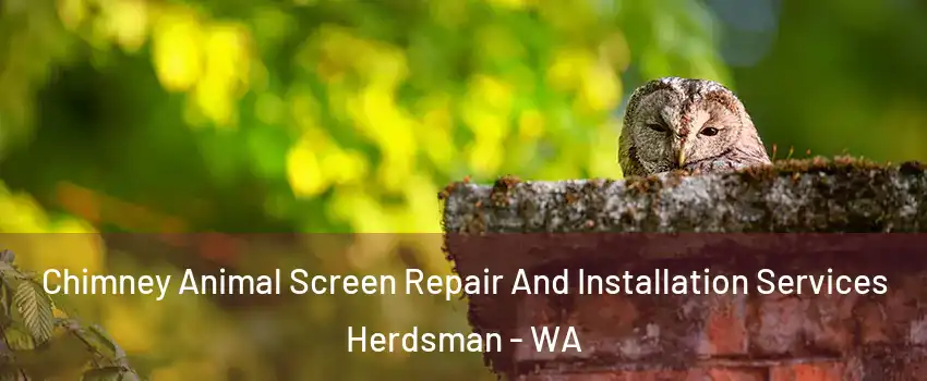 Chimney Animal Screen Repair And Installation Services Herdsman - WA