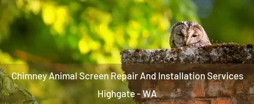 Chimney Animal Screen Repair And Installation Services Highgate - WA