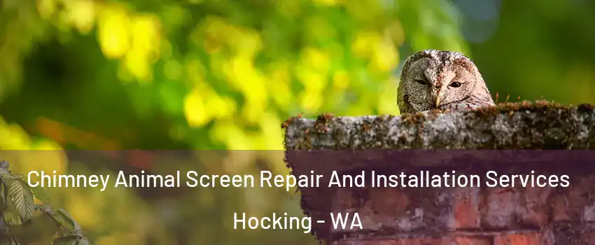 Chimney Animal Screen Repair And Installation Services Hocking - WA
