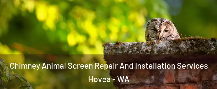 Chimney Animal Screen Repair And Installation Services Hovea - WA