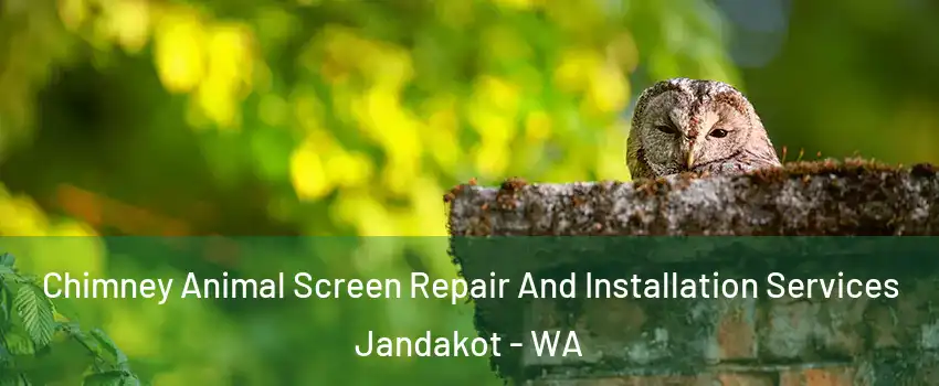 Chimney Animal Screen Repair And Installation Services Jandakot - WA