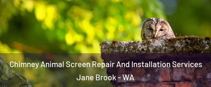Chimney Animal Screen Repair And Installation Services Jane Brook - WA