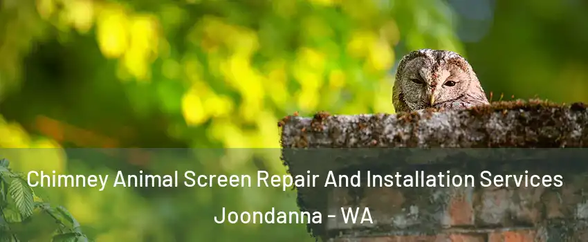Chimney Animal Screen Repair And Installation Services Joondanna - WA