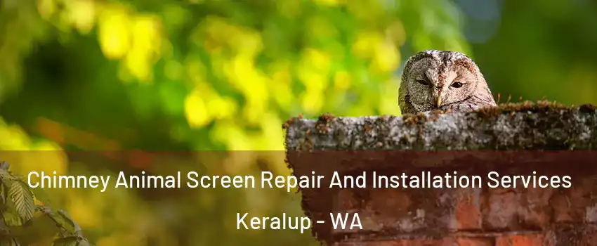 Chimney Animal Screen Repair And Installation Services Keralup - WA