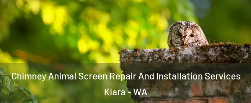 Chimney Animal Screen Repair And Installation Services Kiara - WA