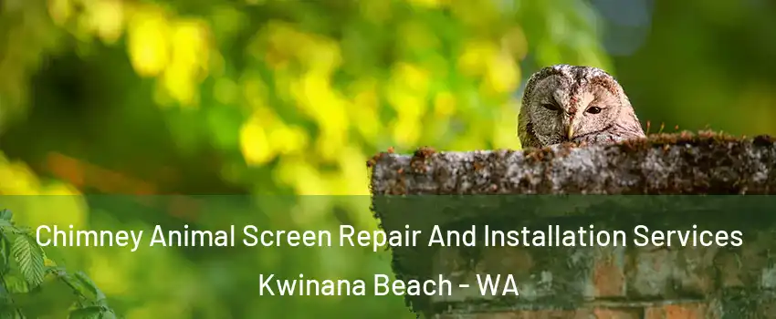Chimney Animal Screen Repair And Installation Services Kwinana Beach - WA