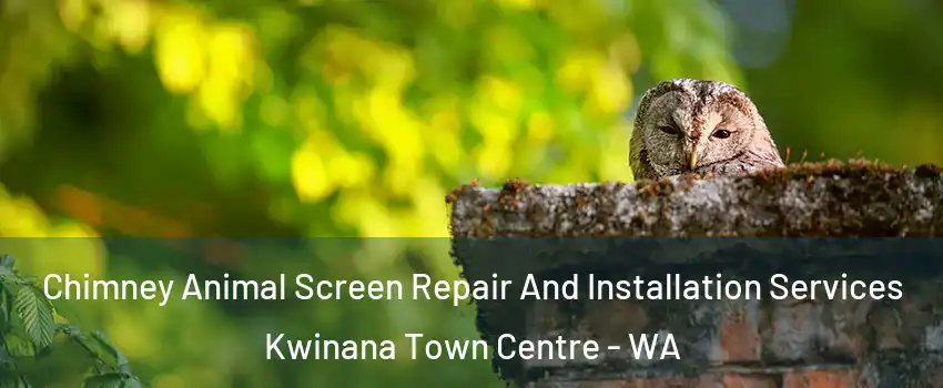 Chimney Animal Screen Repair And Installation Services Kwinana Town Centre - WA