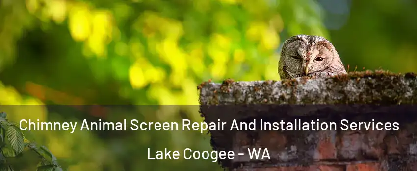 Chimney Animal Screen Repair And Installation Services Lake Coogee - WA
